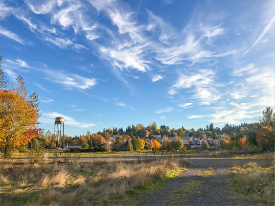 Troutdale Field